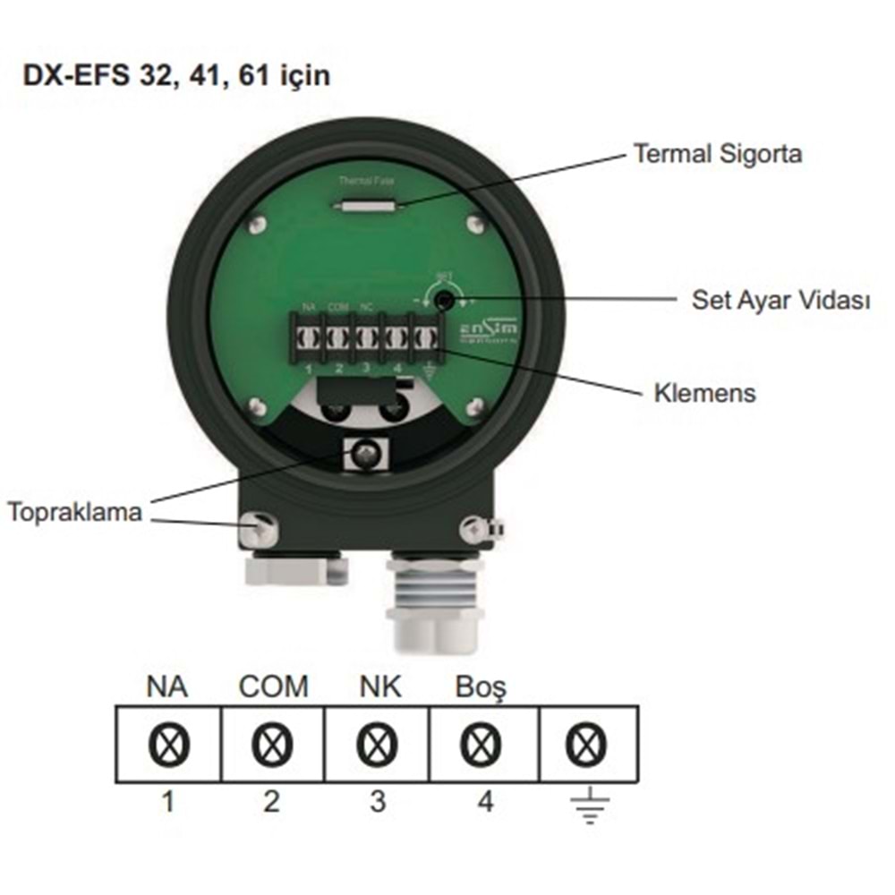 DX-EFS 41