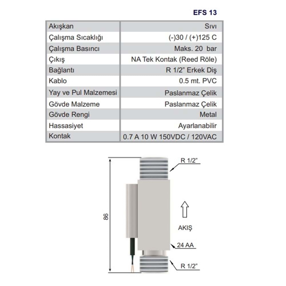 EFS 13