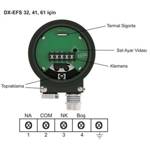 DX-EFS 61