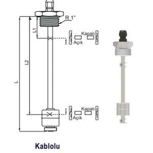 ELS-p-1250