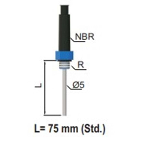 ELC 10m İletkenlik Tp Seviye Elektrodu R 1/4