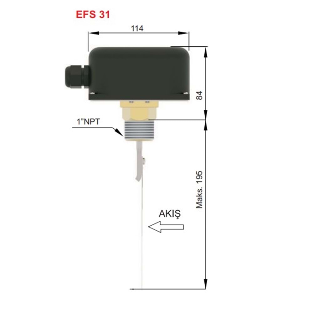 EFS 31