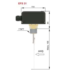 EFS 31